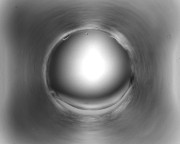 X0000088701438200706211937