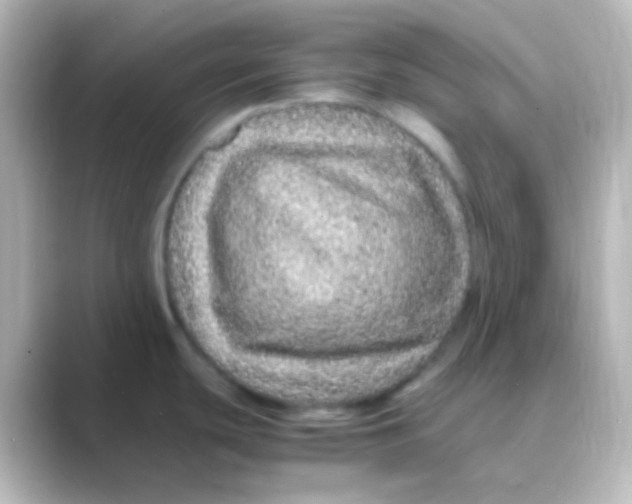 X0000088701439200706211937