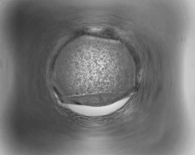 X0000088701441200706211936