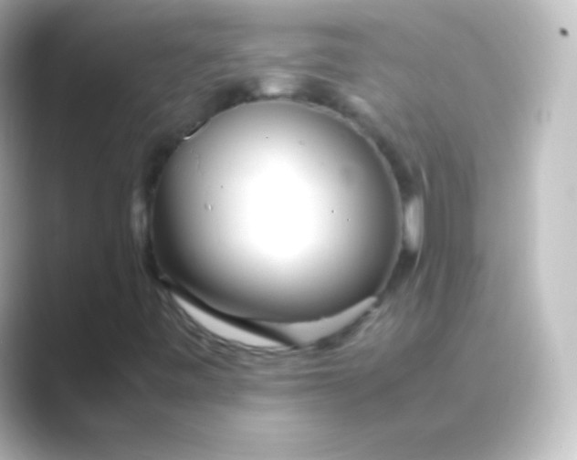 X0000088701443200706211936