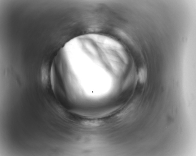 X0000088701444200706211936
