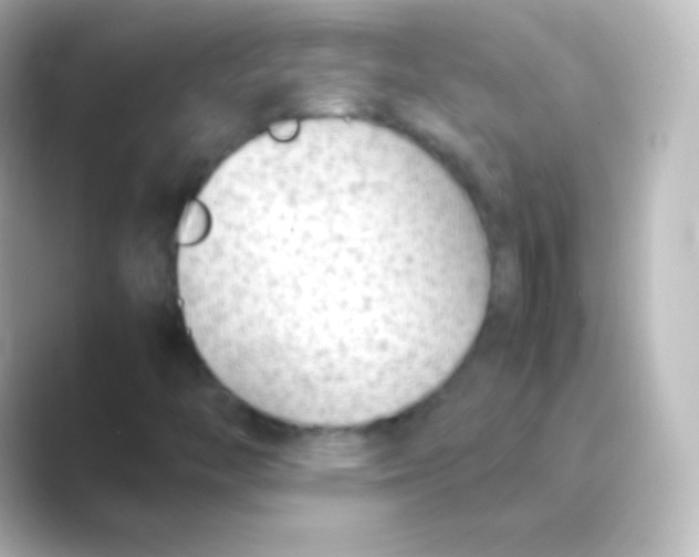 X0000088701446200706211936