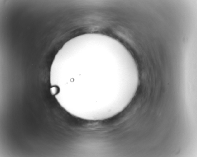 X0000088701447200706211936
