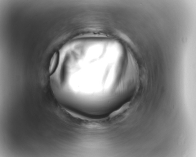 X0000088701448200706211936