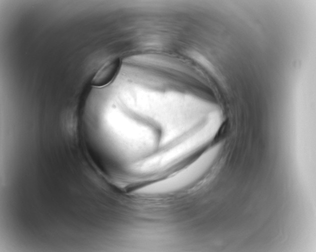 X0000088701450200706211936