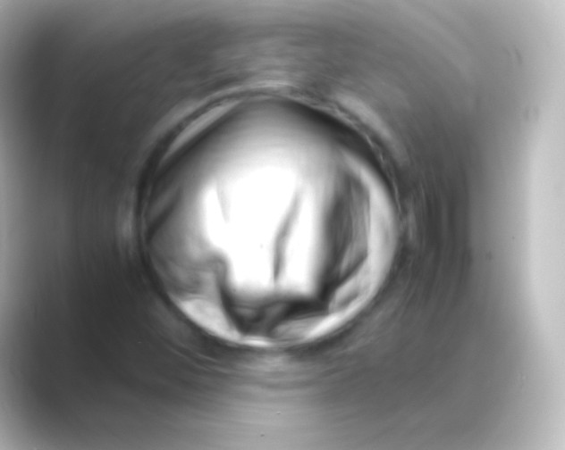 X0000088701452200706211936