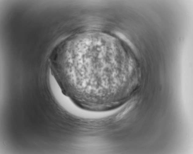 X0000088701453200706211936