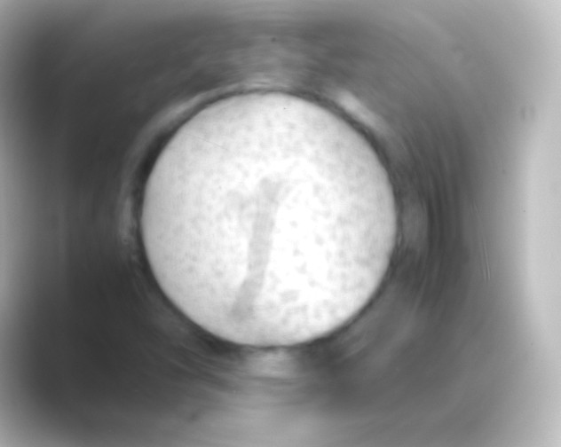 X0000088701454200706211936