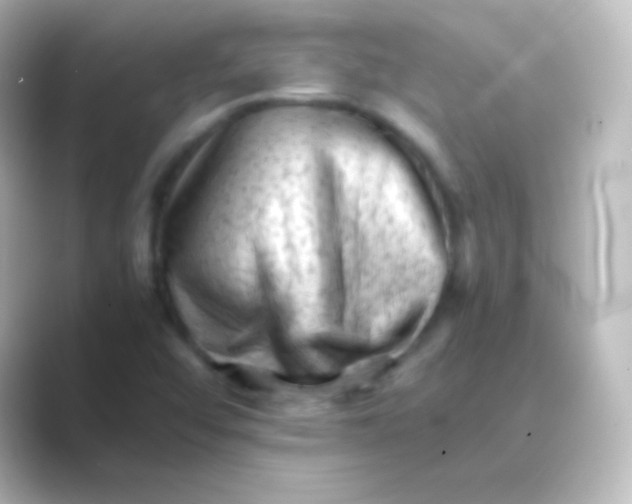 X0000088701456200706211936