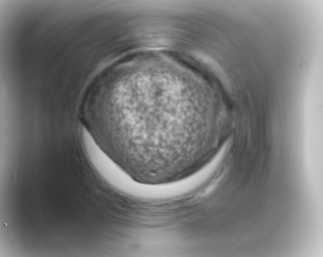 X0000088701457200706211936