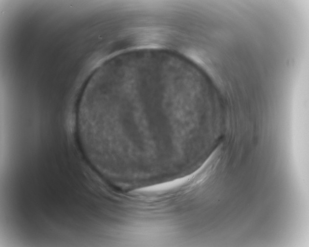 X0000088701459200706211936