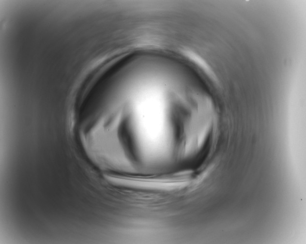 X0000088701461200706211936