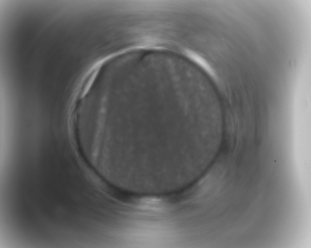 X0000088701463200706211936