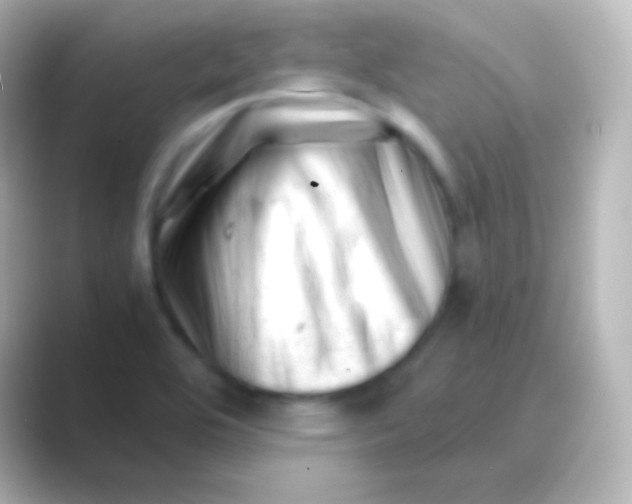 X0000088701464200706211936