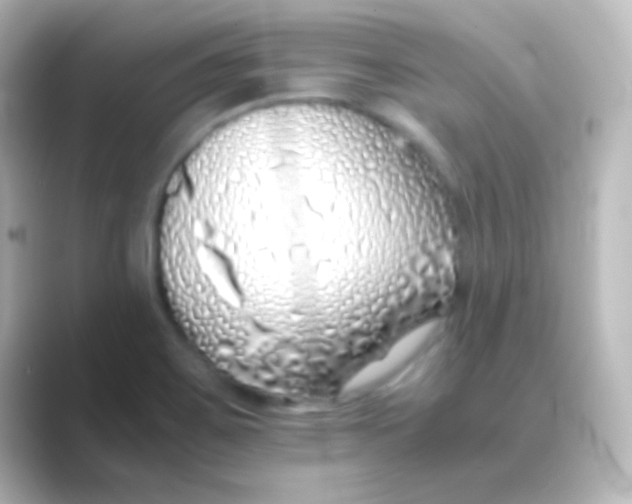 X0000088701467200706211936