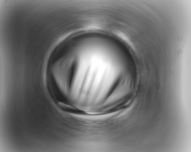 X0000088701469200706211936