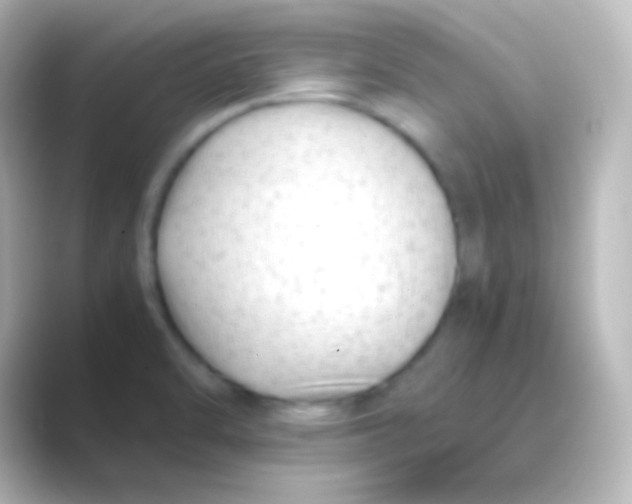 X0000088701470200706211936
