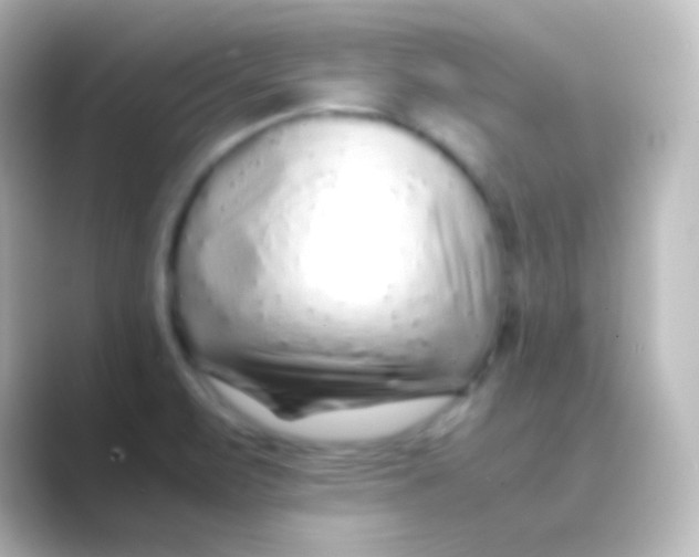 X0000088701471200706211936