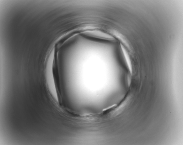 X0000088701473200706211936