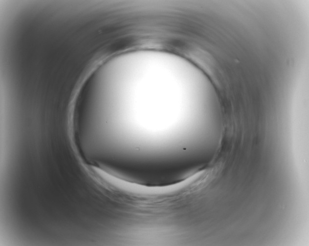 X0000088701475200706211936