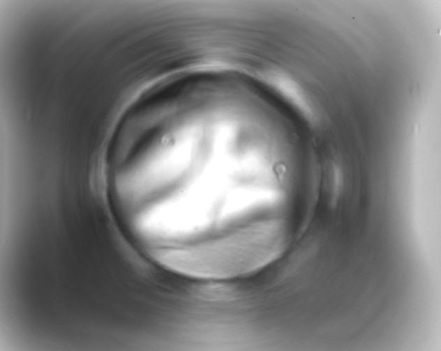 X0000088701476200706211936