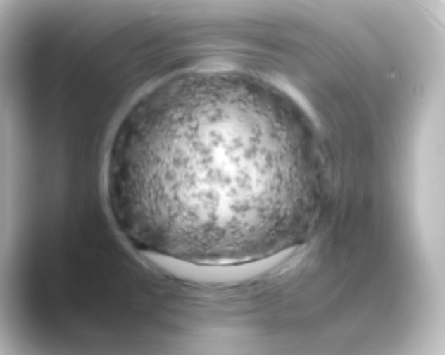 X0000088701477200706211936