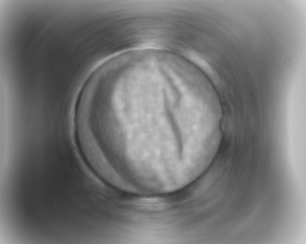 X0000088701479200706211936