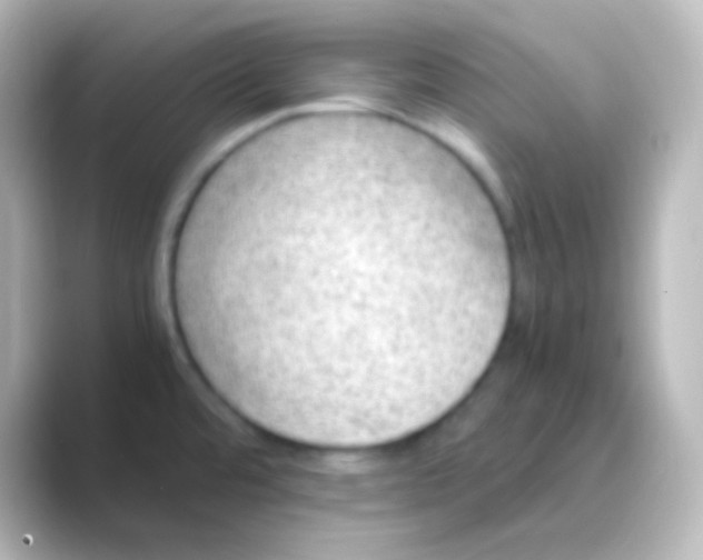X0000088701480200706211936