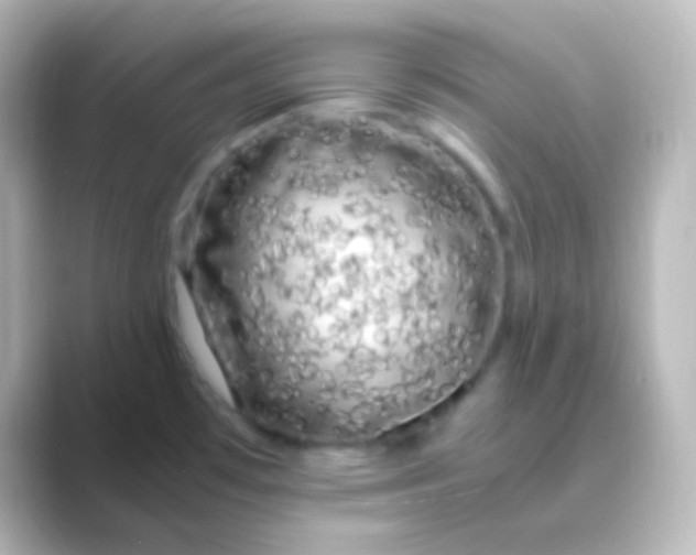 X0000088701481200706211936