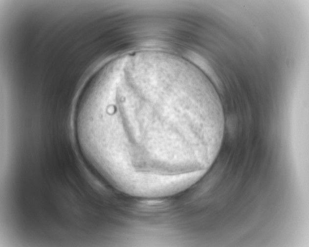 X0000088701482200706211936