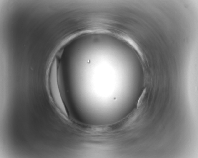X0000088701485200706211936