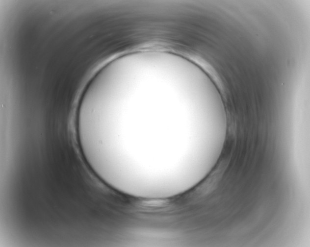 X0000088701486200706211936