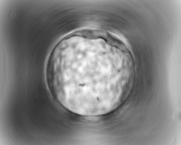X0000088701488200706211935
