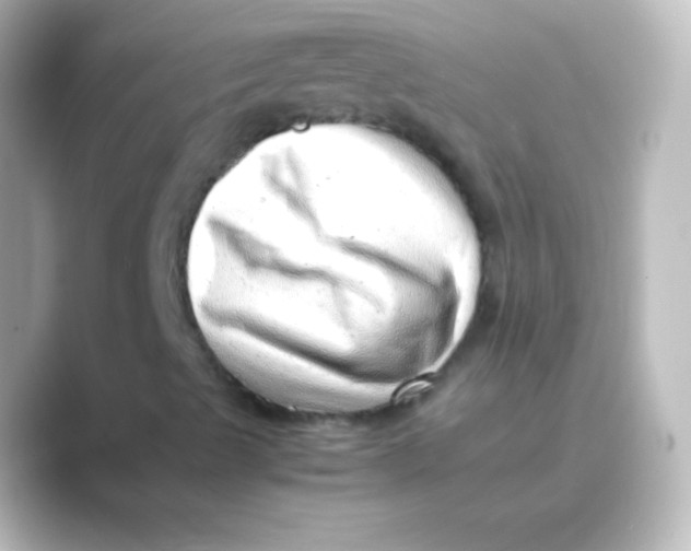 X0000088701489200706211935