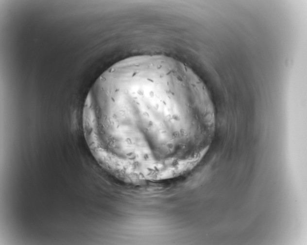 X0000088701490200706211935