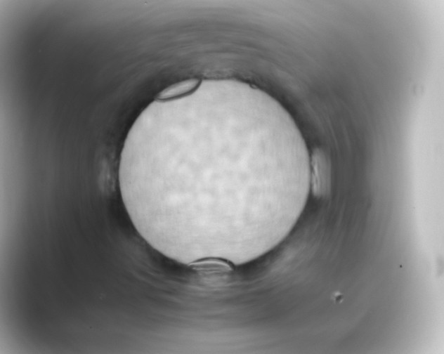 X0000088701491200706211935