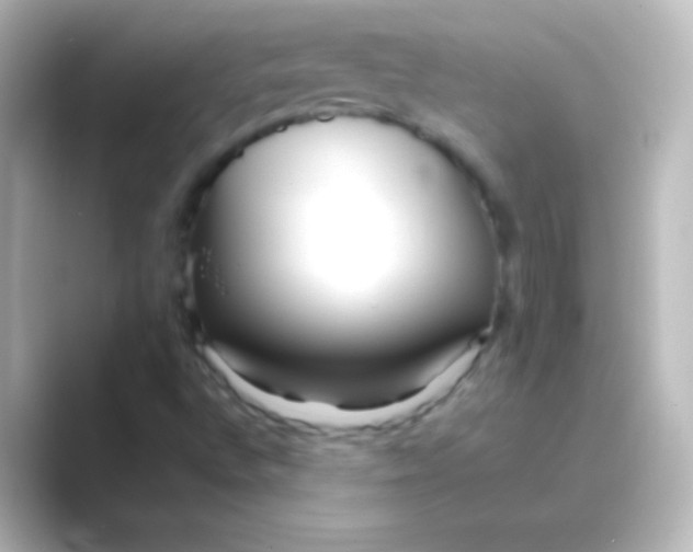X0000088701496200706211935