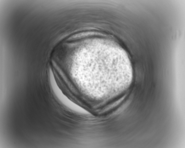 X0000088701497200706211935