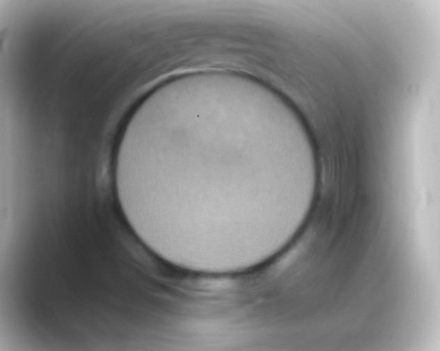 X0000088701498200706211935