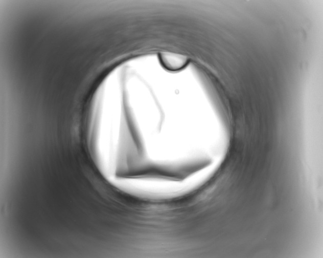X0000088701499200706211935
