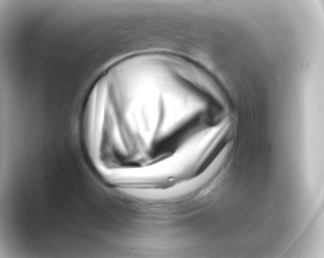 X0000088701500200706211935