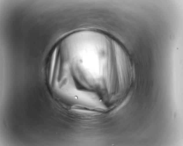 X0000088701501200706211935