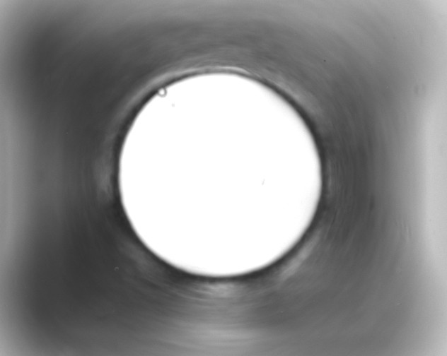 X0000088701502200706211935