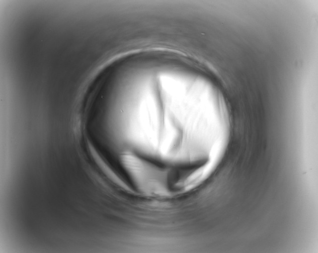 X0000088701503200706211935