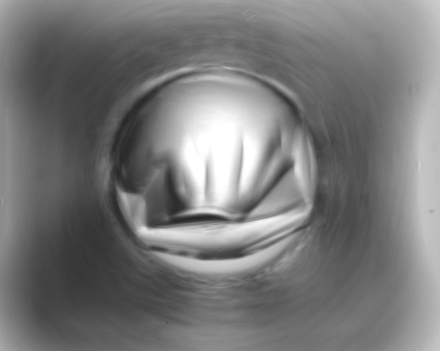 X0000088701507200706211935