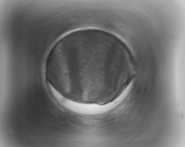 X0000088701508200706211935
