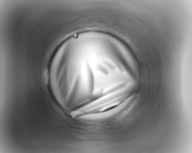 X0000088701509200706211935