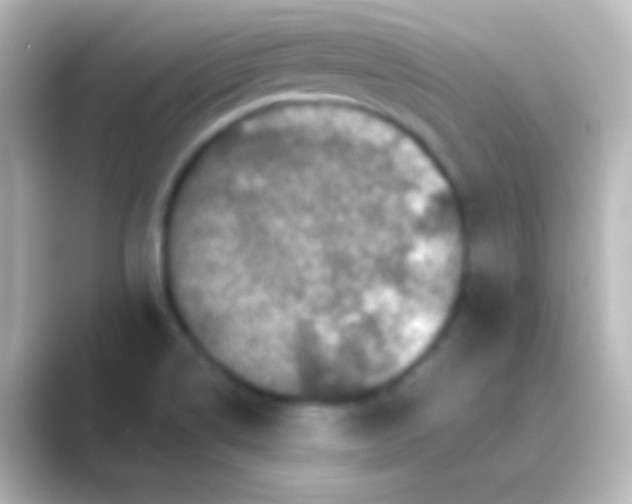 X0000088701514200706211935