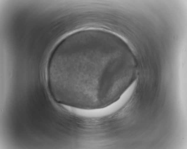 X0000088701515200706211935