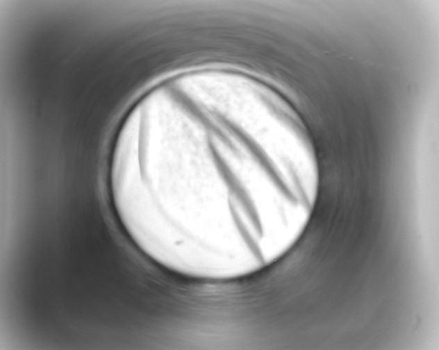 X0000088701518200706211935